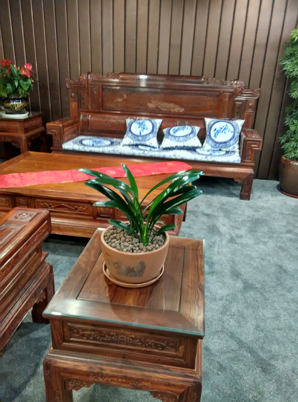 双拼君子兰（lán）