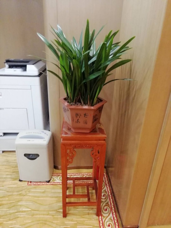 木架植（zhí）物