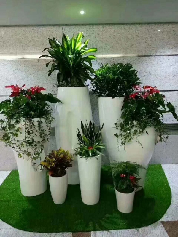 艺术组合盆(pén)景