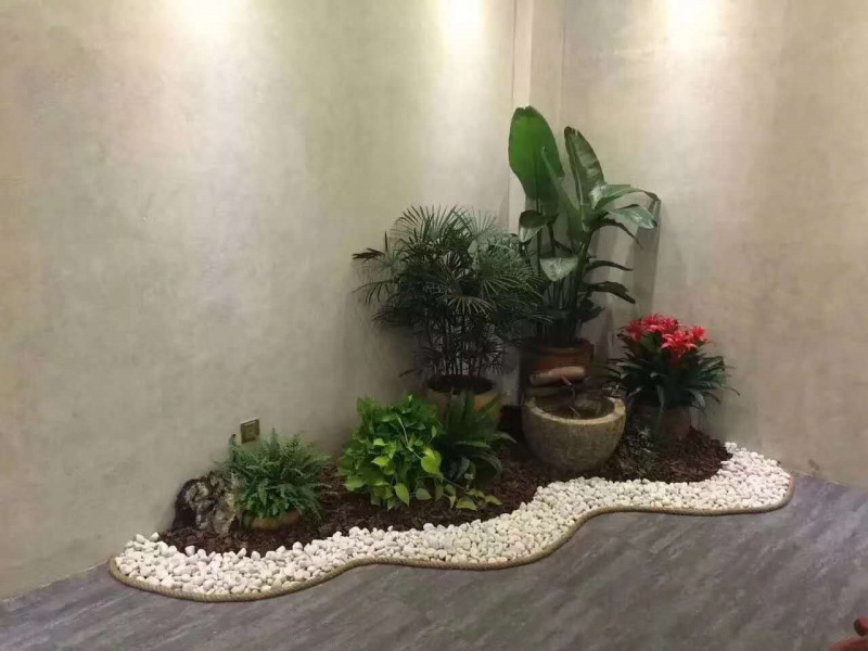 艺(yì)术组合盆景