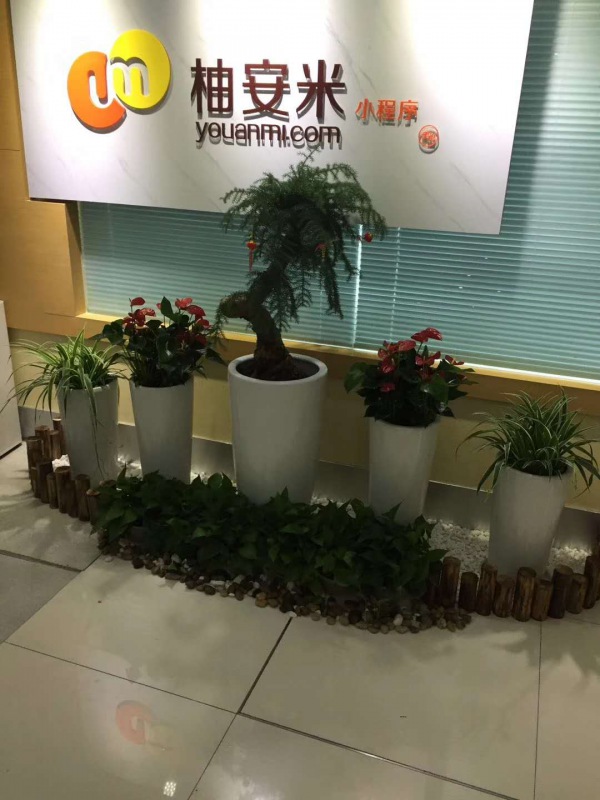 艺术组合盆(pén)景