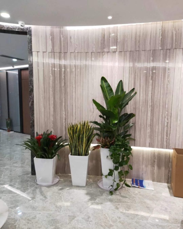 艺术（shù）组合盆景