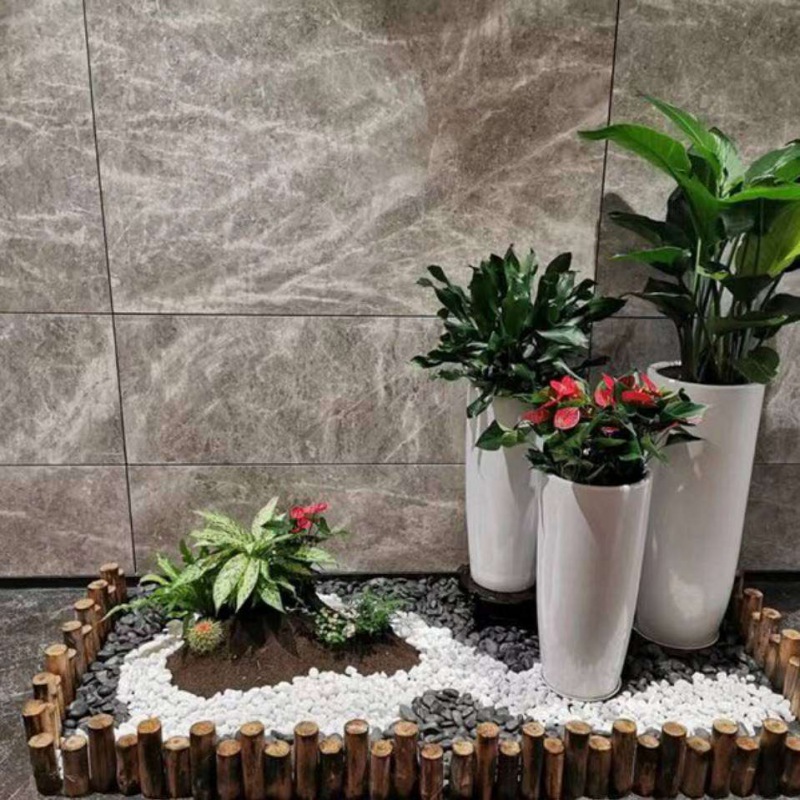 艺（yì）术组合盆景