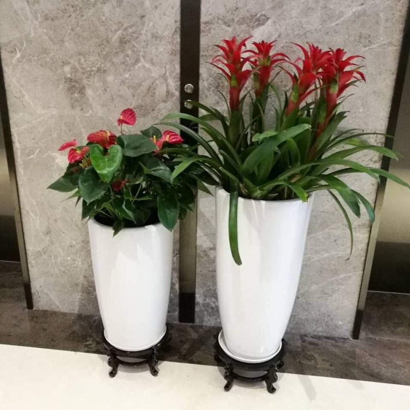 艺（yì）术组合盆景