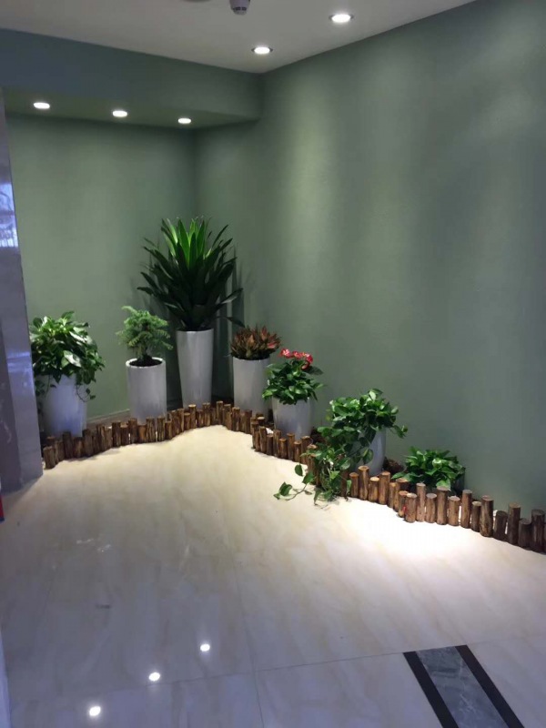 艺术(shù)组合盆景