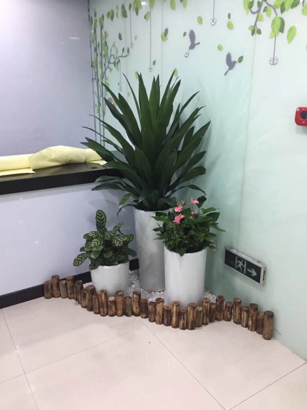 艺术组合盆景（jǐng）