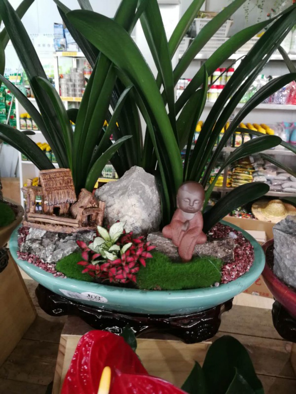 桌（zhuō）面盆景