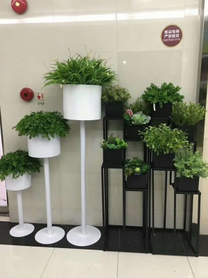 花架（jià）植物