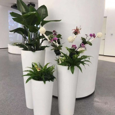 艺（yì）术组合盆景