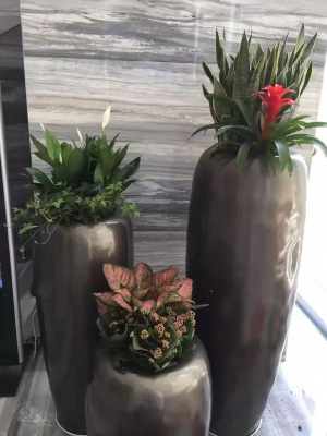 艺术（shù）组（zǔ）合盆（pén）景