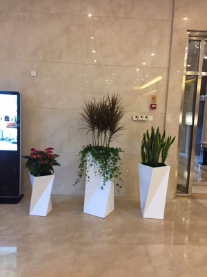 艺术组合盆景（jǐng）