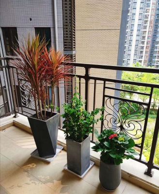 艺术组合盆景（jǐng）