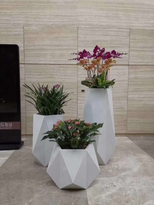 艺术组（zǔ）合（hé）盆景