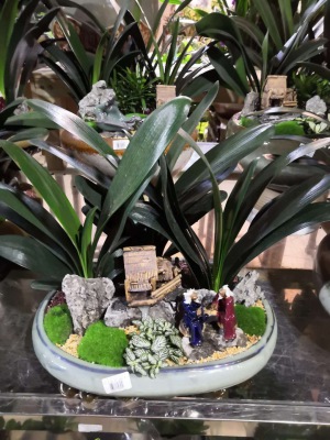 桌面盆（pén）景