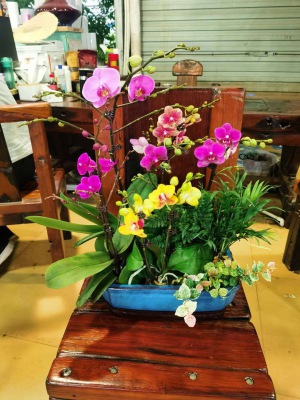 桌面（miàn）盆景