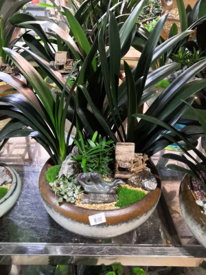 桌面盆（pén）景