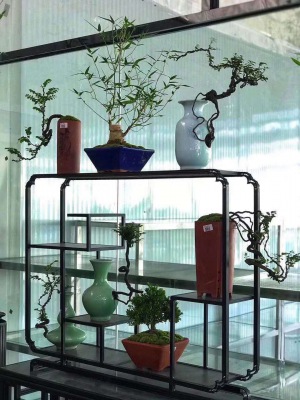 桌面盆（pén）景