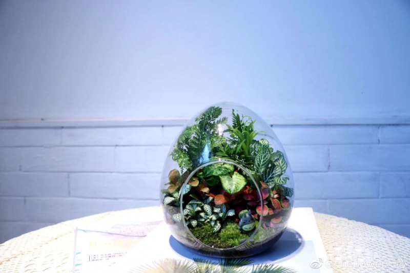 桌面小（xiǎo）花