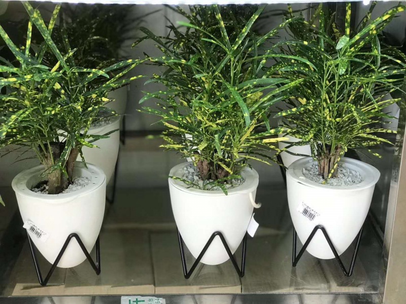 桌面小（xiǎo）花