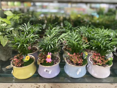 桌面小（xiǎo）花