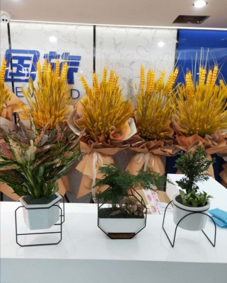 桌面（miàn）小花